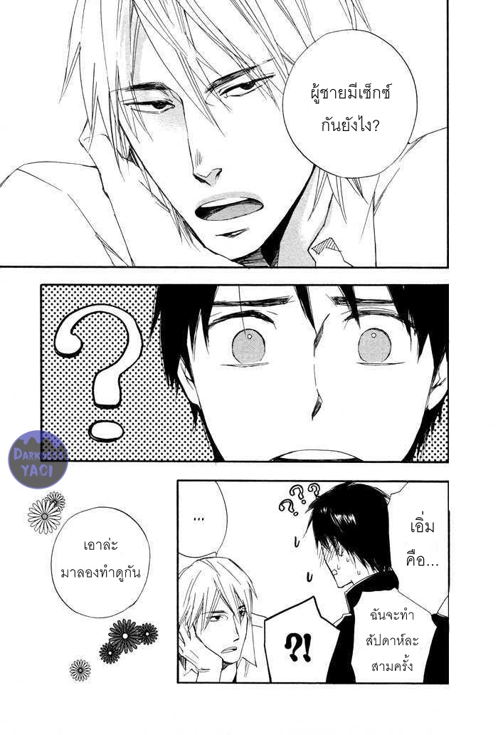 WILD AND STRAWBERRY 1 12