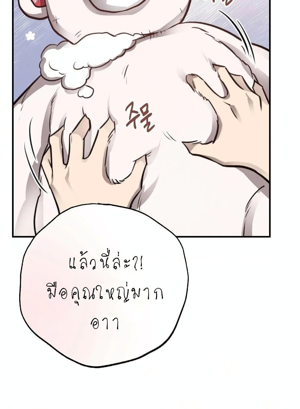 Honey Bear 9 16