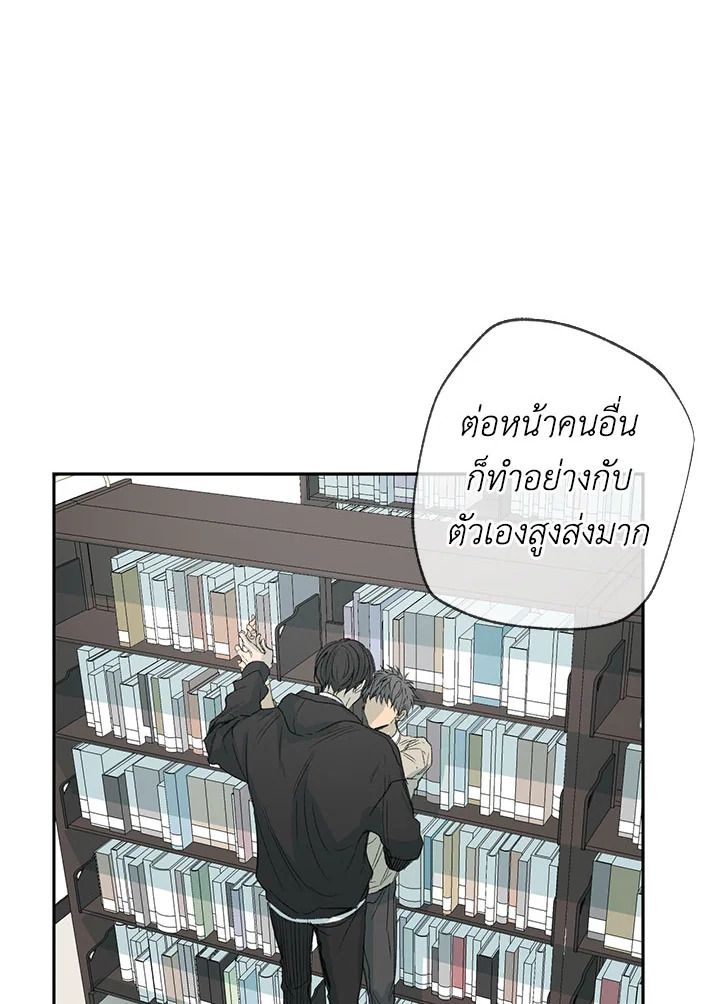 The Shape of Sympathy 24 52