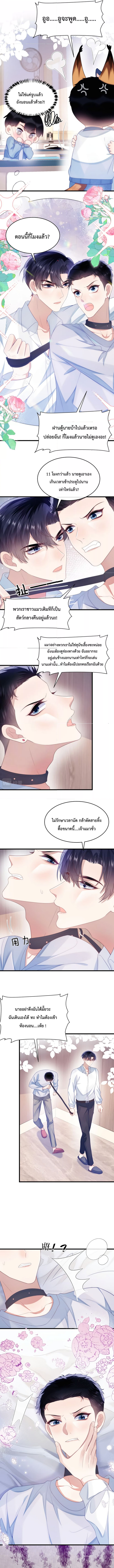 DESTINY LOVE 40 (2)