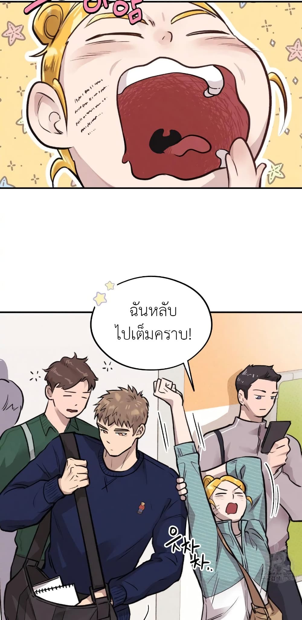 Honey Bear 13 29
