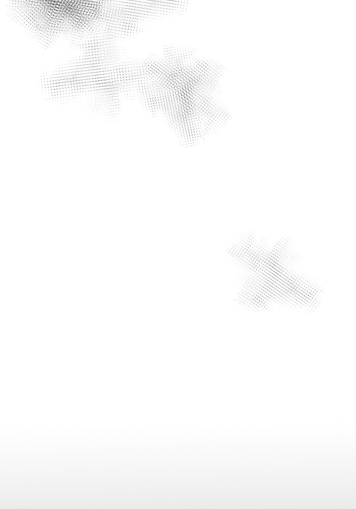 Crows Like Things That Sparkle 44 (4)