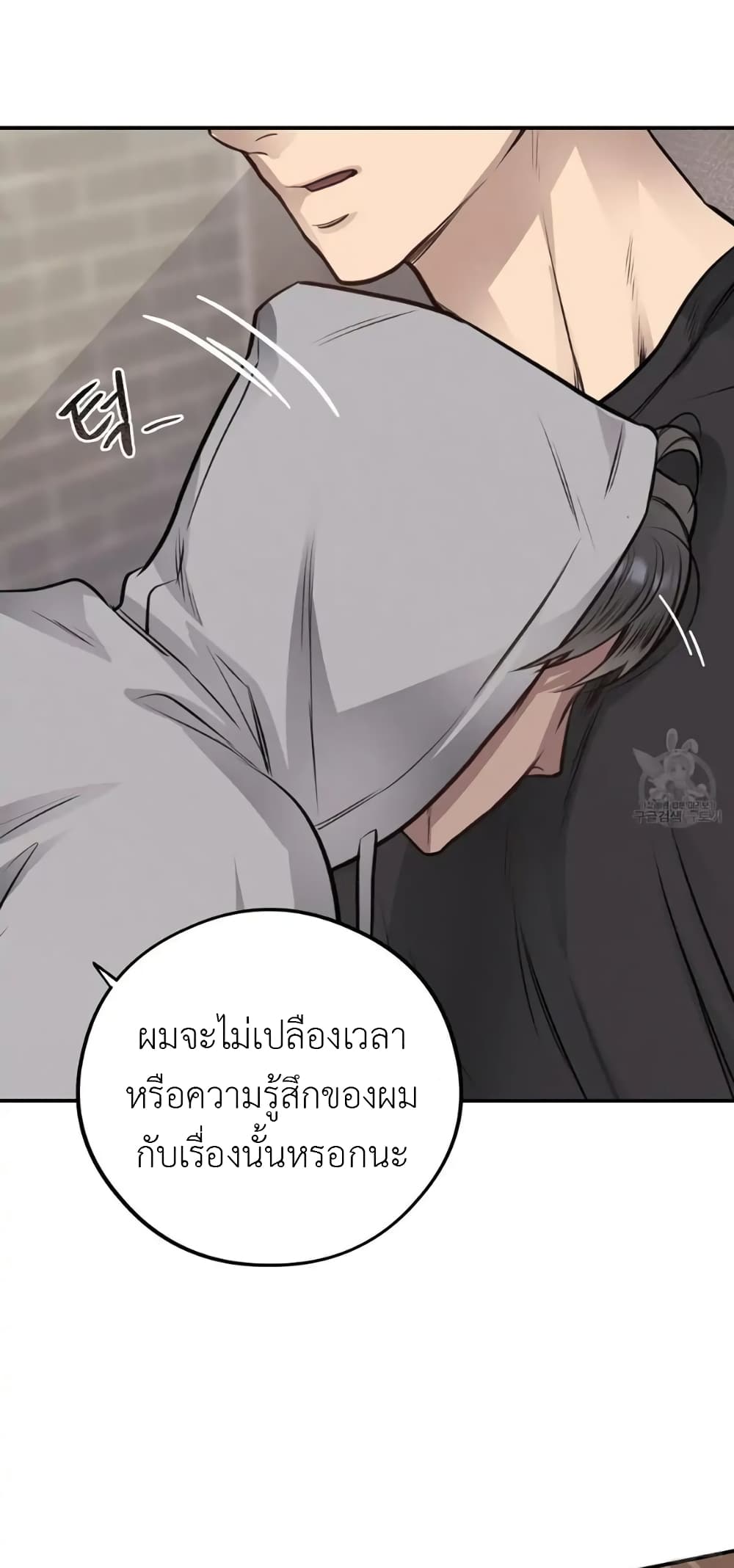 Honey Bear 40 20