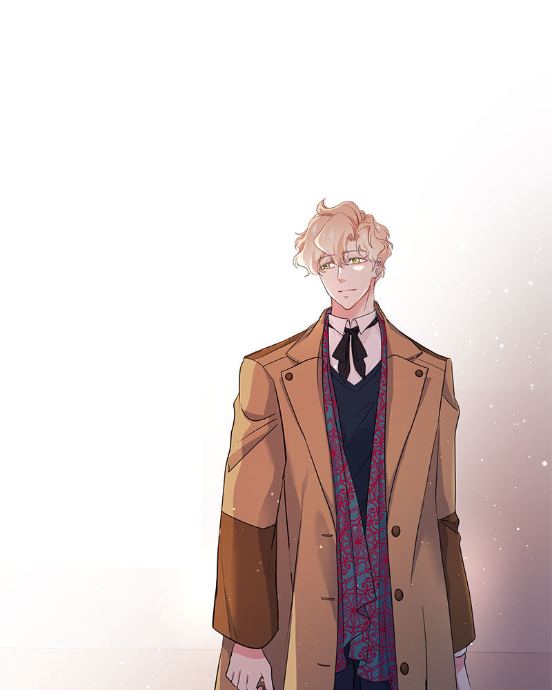 canidie 20 2 67 08050