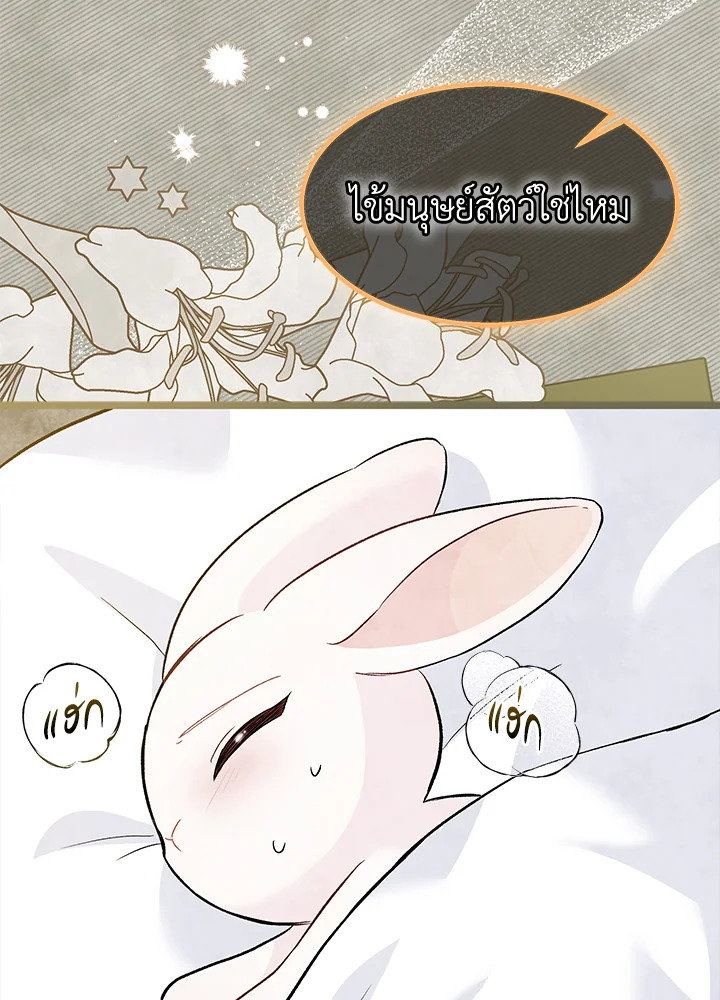 The Symbiotic Relationship Between a Panther and a Rabbit 123 011