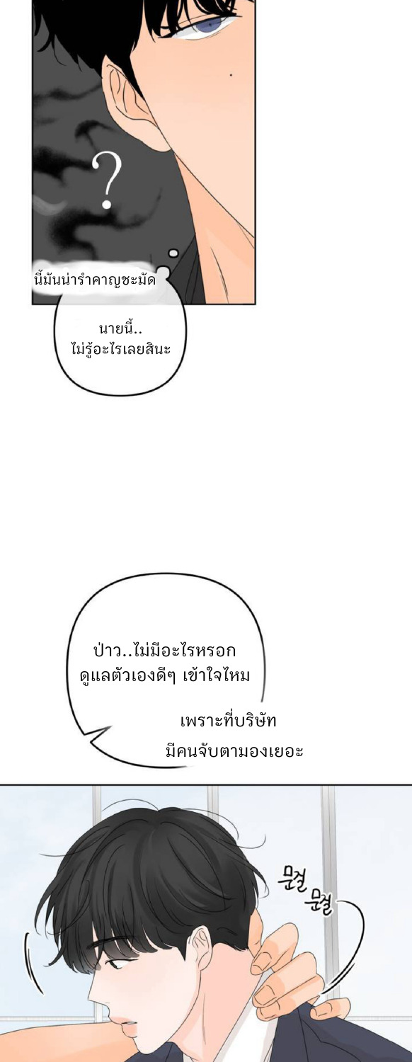 The Boundary of Fragrance 0 33