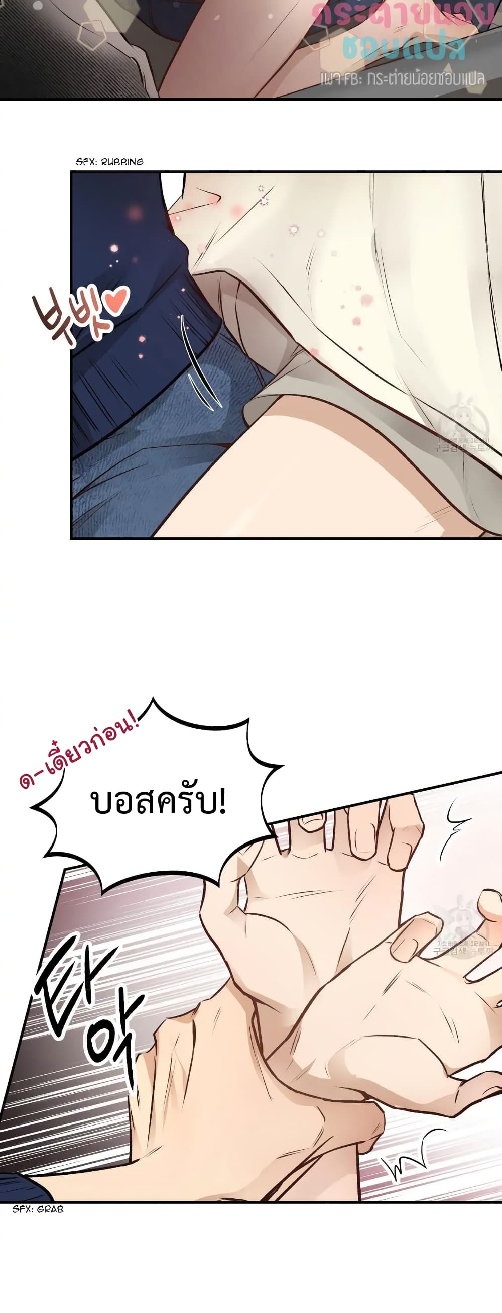 Honey Bear 14 33