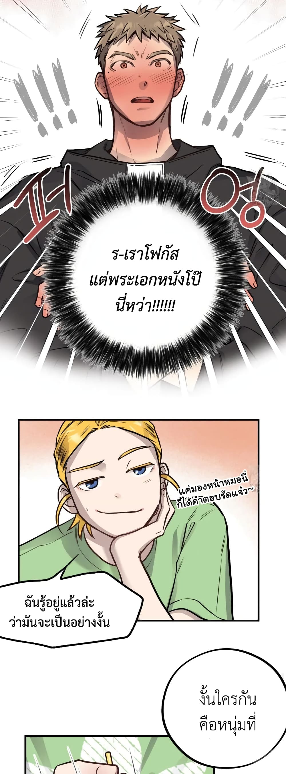 Honey Bear 4 16