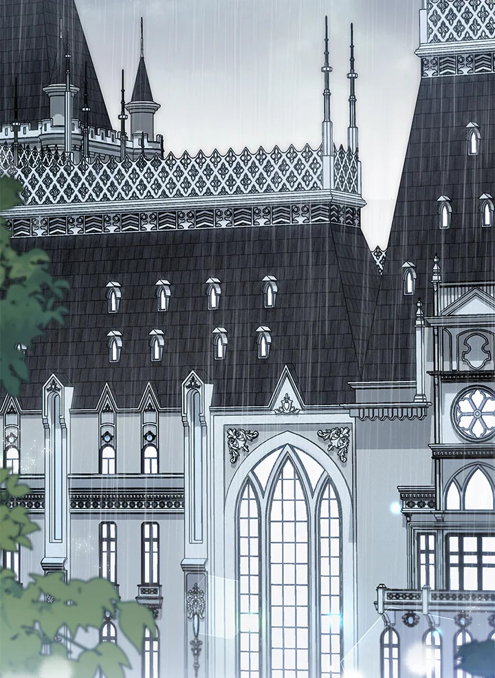 The Symbiotic Relationship Between a Panther and a Rabbit 121 29