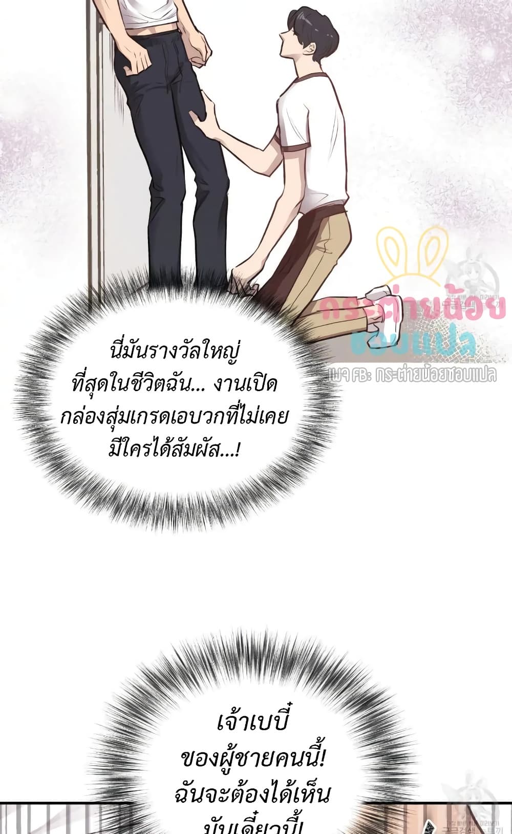 Honey Bear 12 29