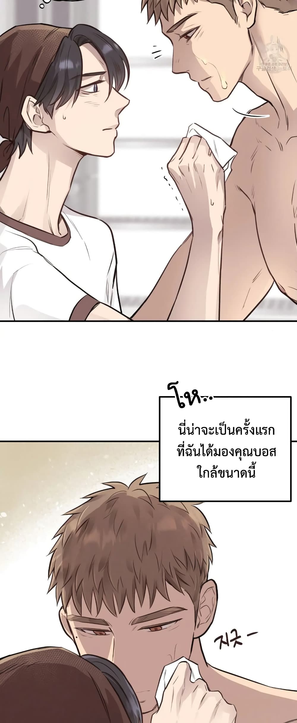 Honey Bear 8 05