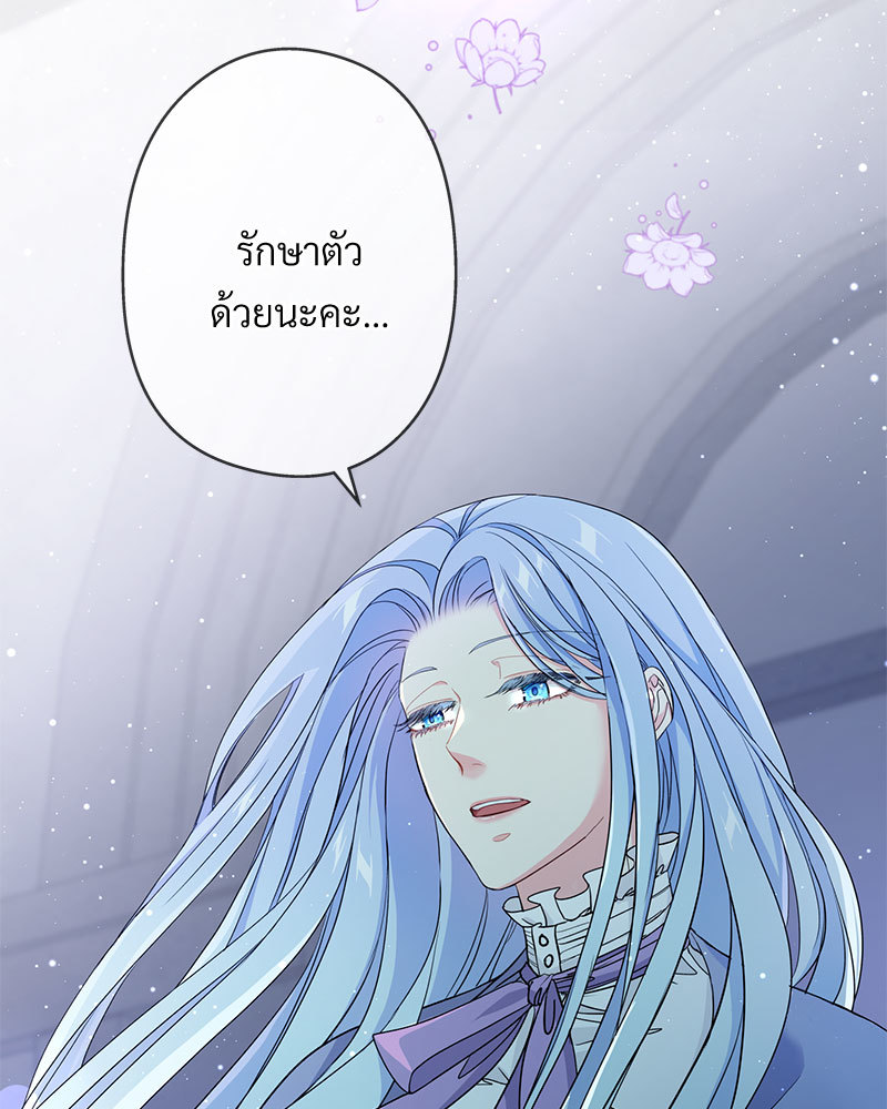 canidie 20 2 67 08034