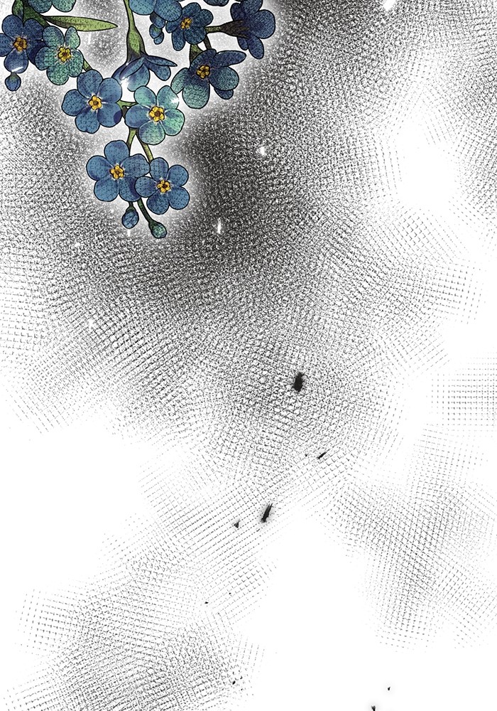63