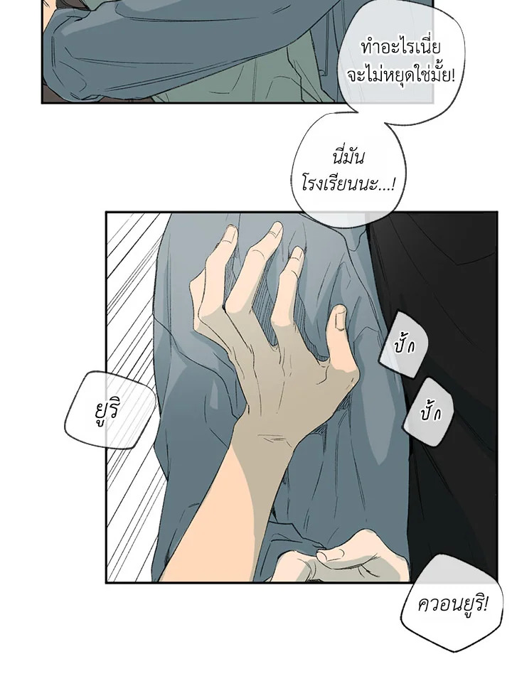 The Shape of Sympathy 32 19