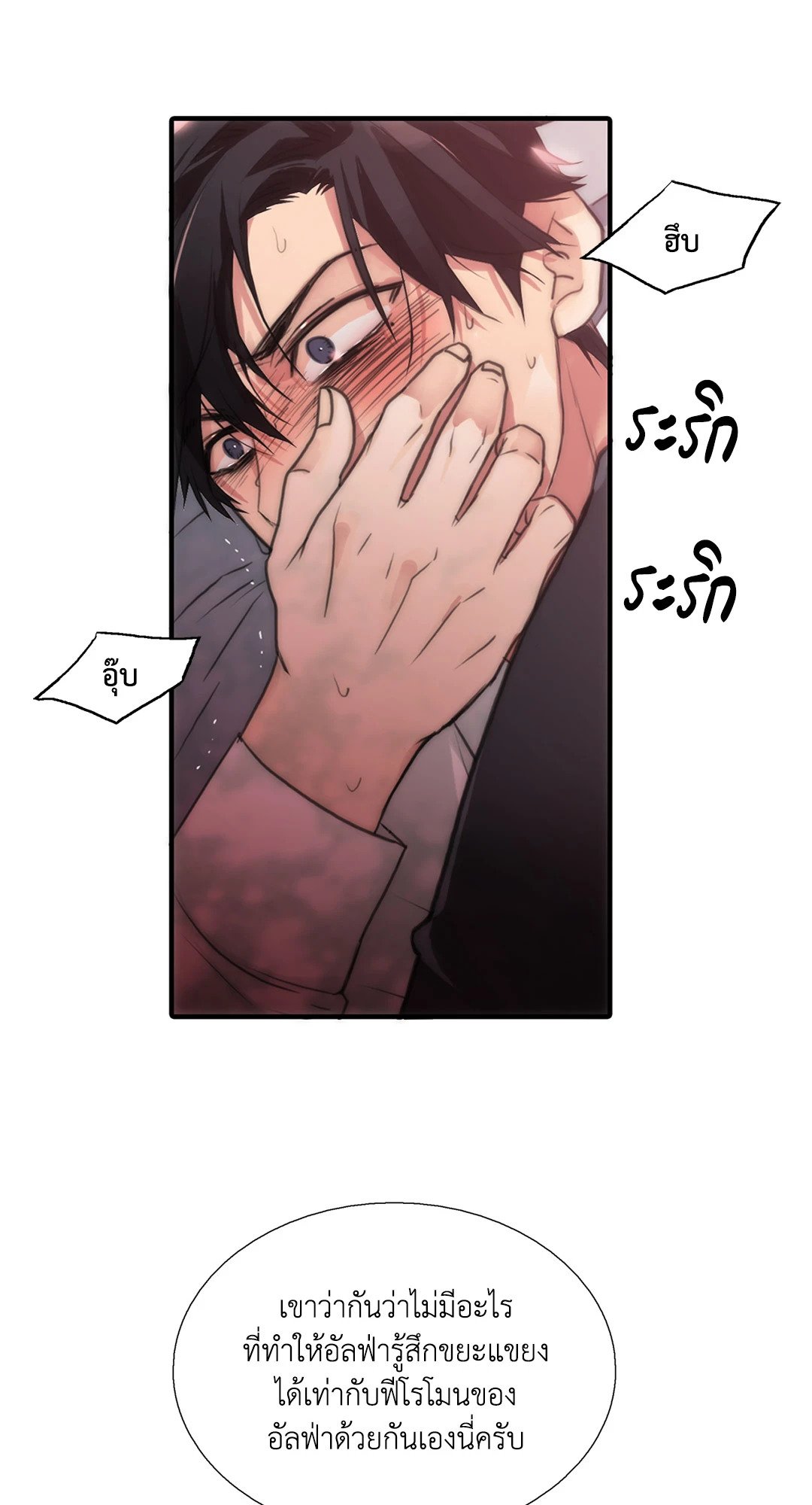 Love Shuttle 36.5 10