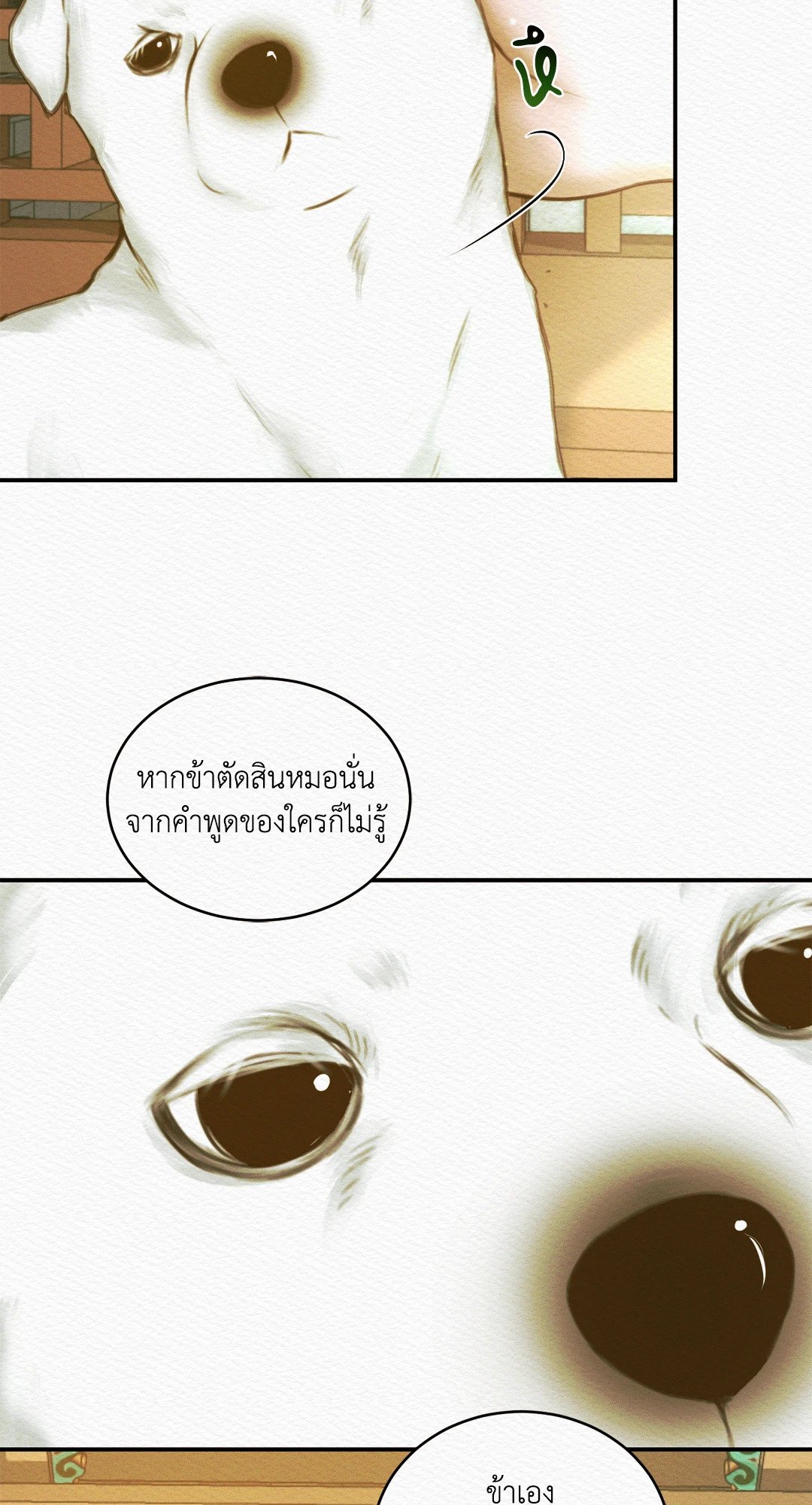 Night Song 31 50