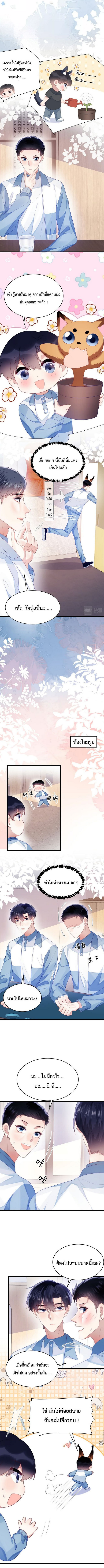 DESTINY LOVE 41 (3)