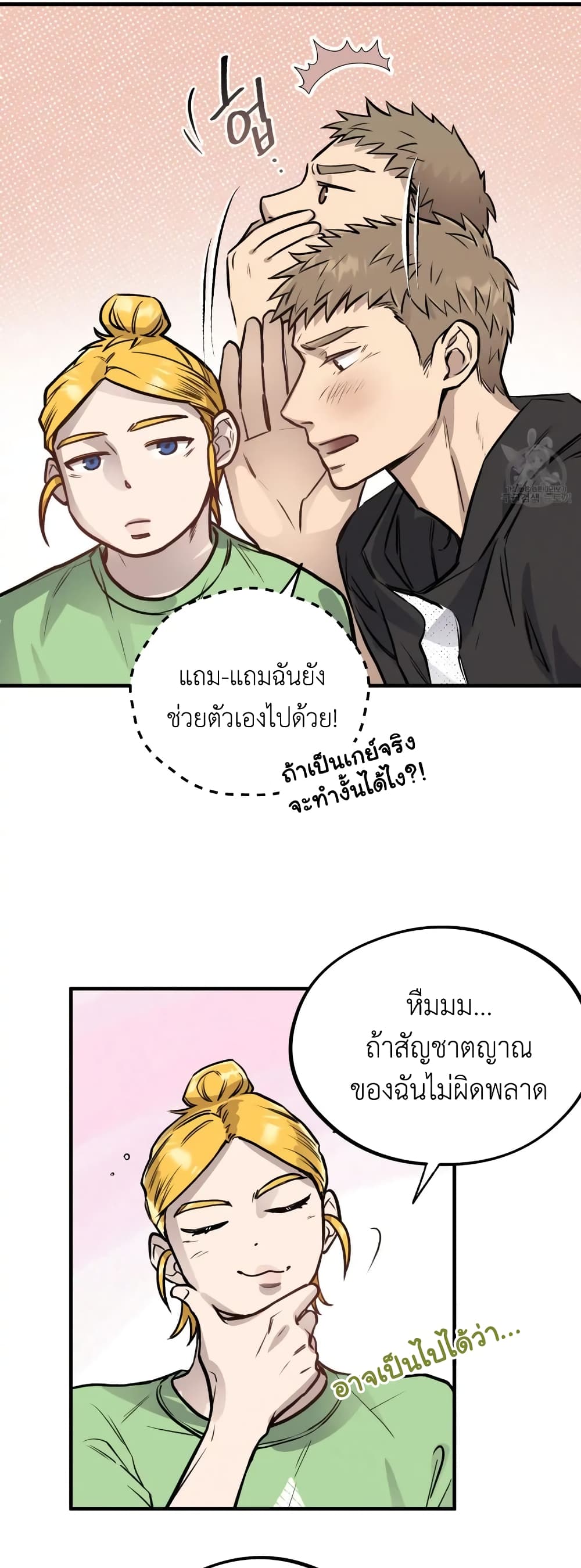 Honey Bear 4 13