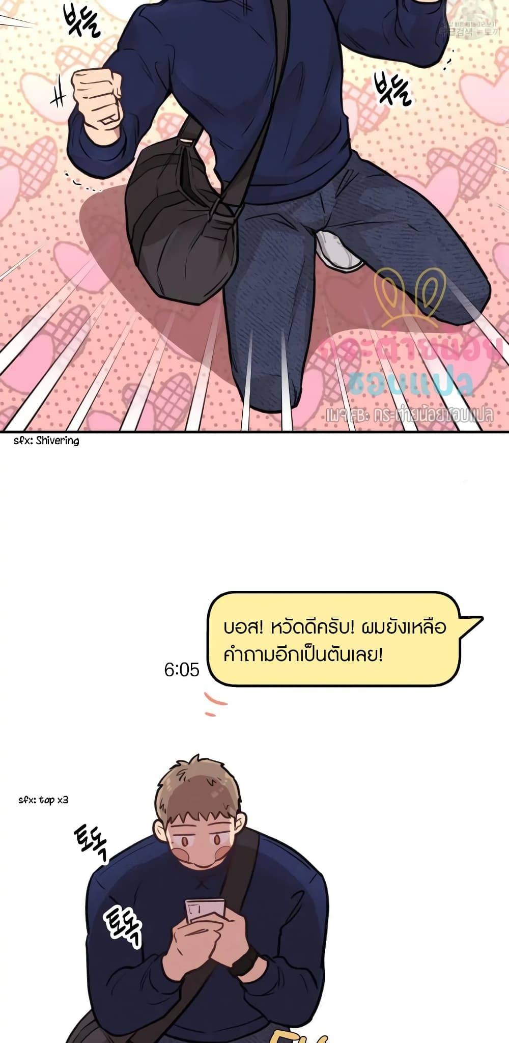 Honey Bear 13 37