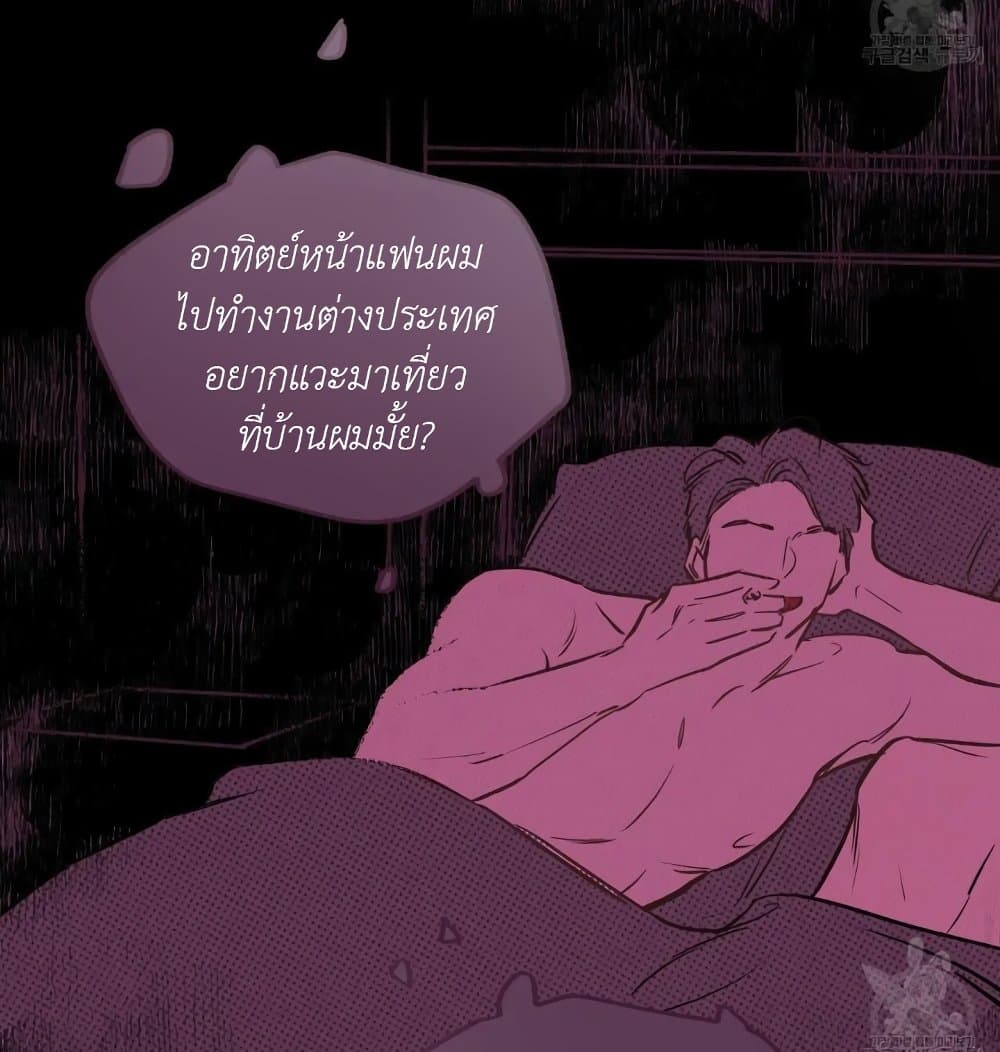 Honey Bear 15 049