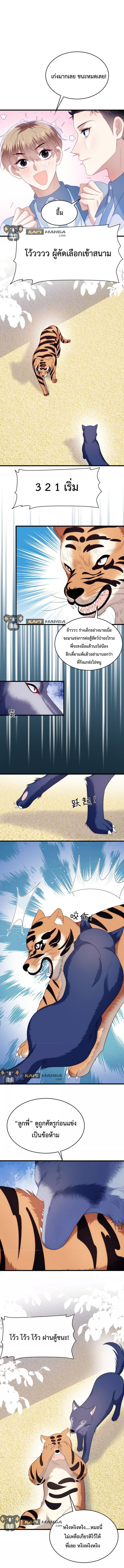 DESTINY LOVE 45 (5)