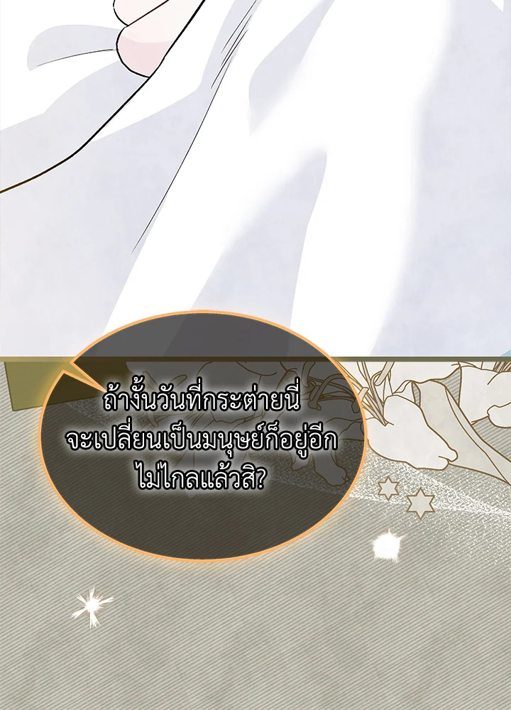 The Symbiotic Relationship Between a Panther and a Rabbit 123 012