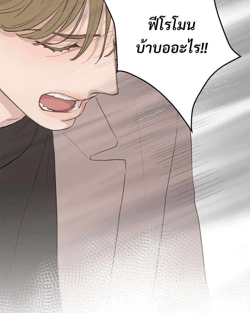 เน€เธเธ•เธซเนเธฒเธกเธฃเธฑเธเธเธเธฑเธเน€เธเธ•เนเธฒ 47 045