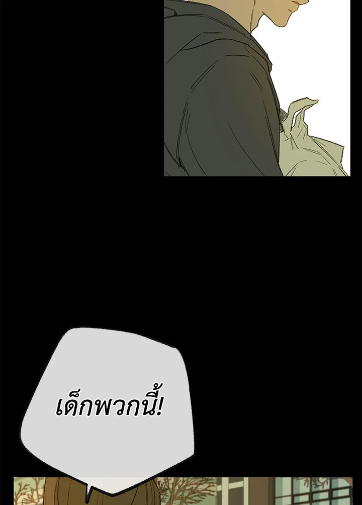 The Shape of Sympathy 47 037