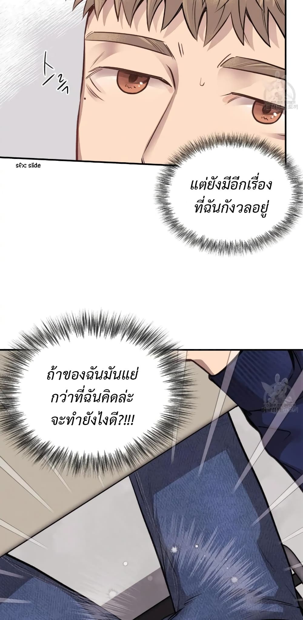 Honey Bear 13 09