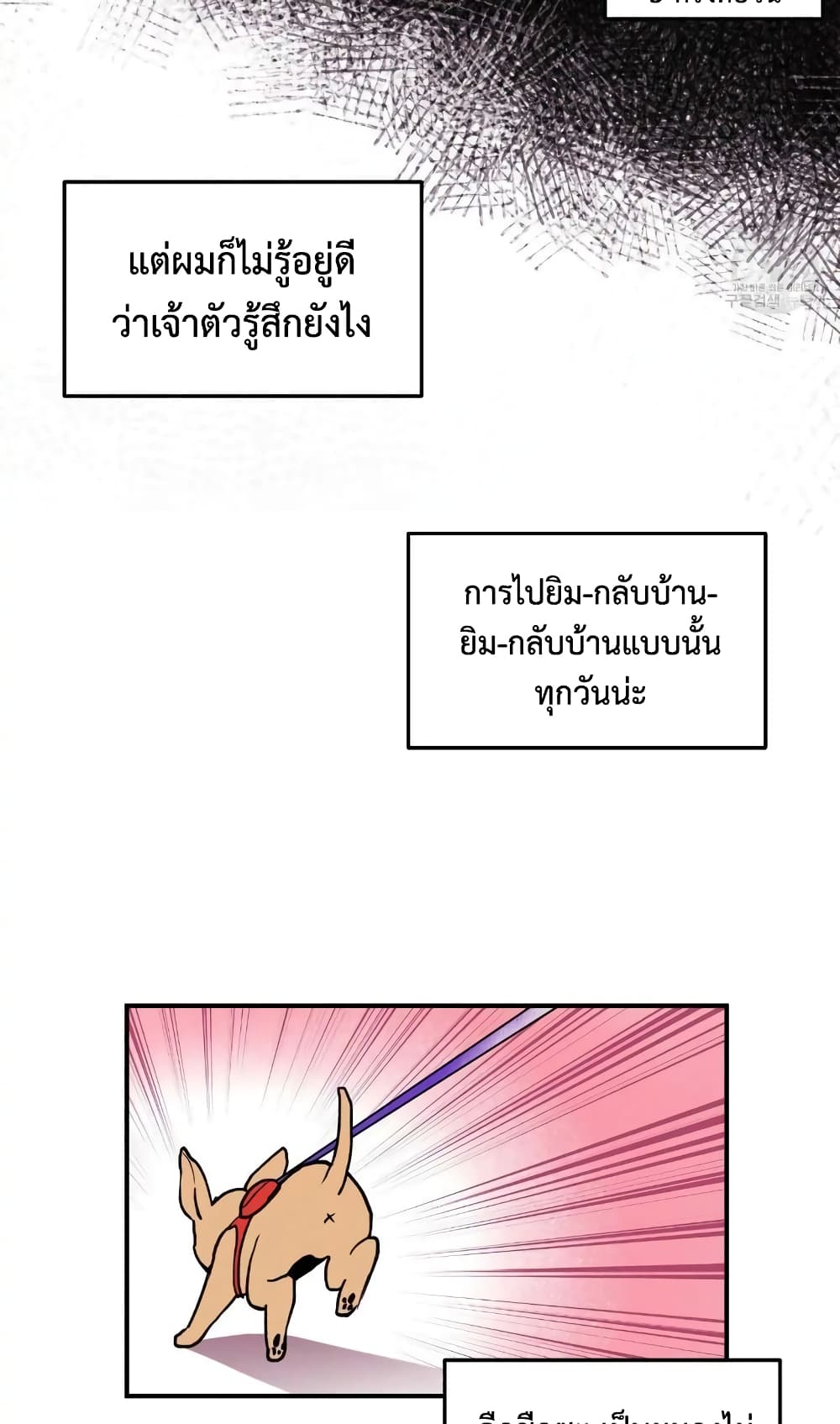 Honey Bear 1 11