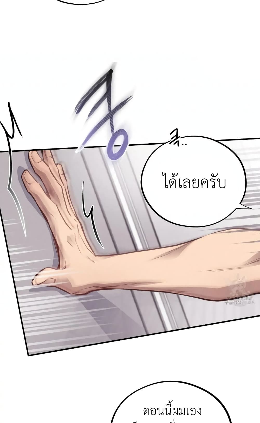 Honey Bear 12 12