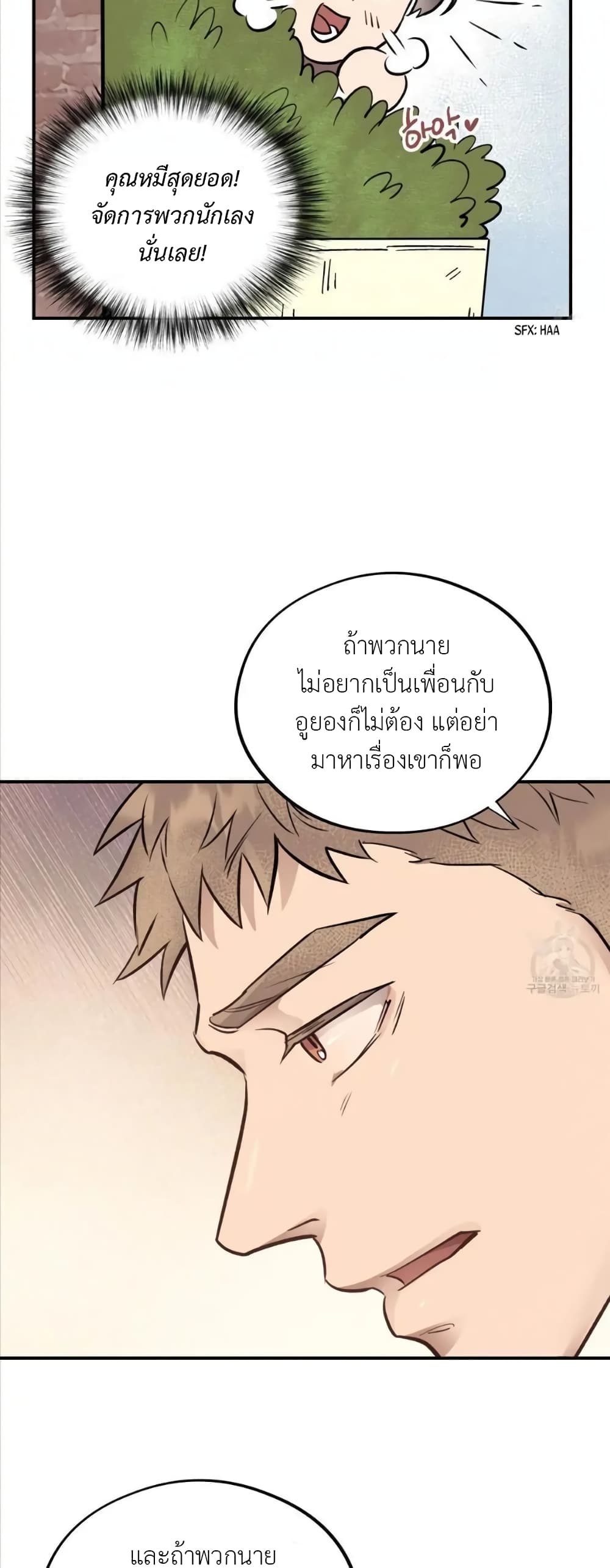 Honey Bear 16 41