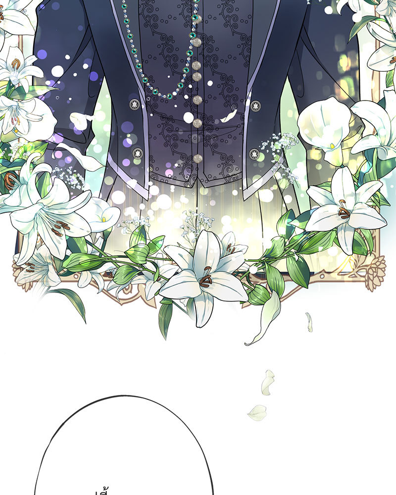 canidie 20 2 67 07988