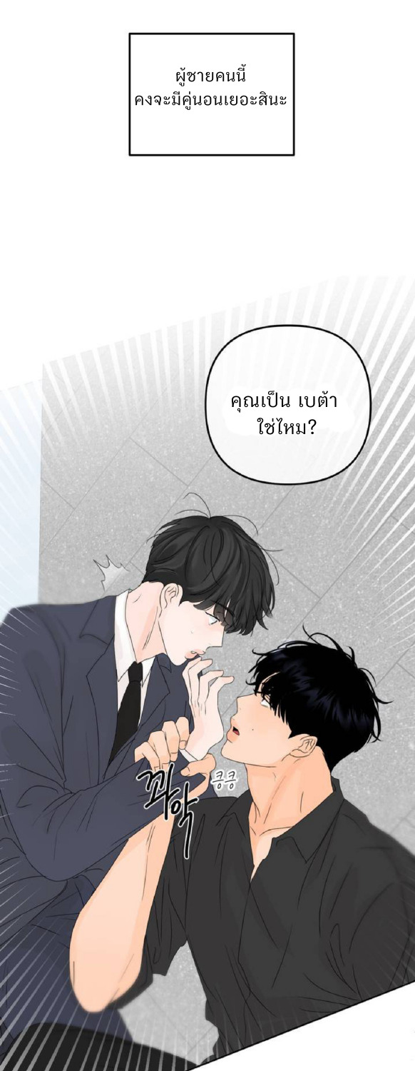 The Boundary of Fragrance 0 41