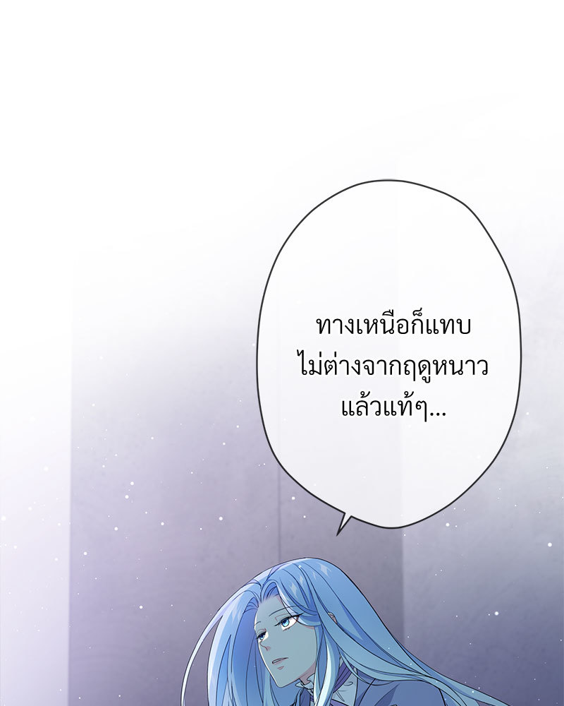 canidie 20 2 67 08046