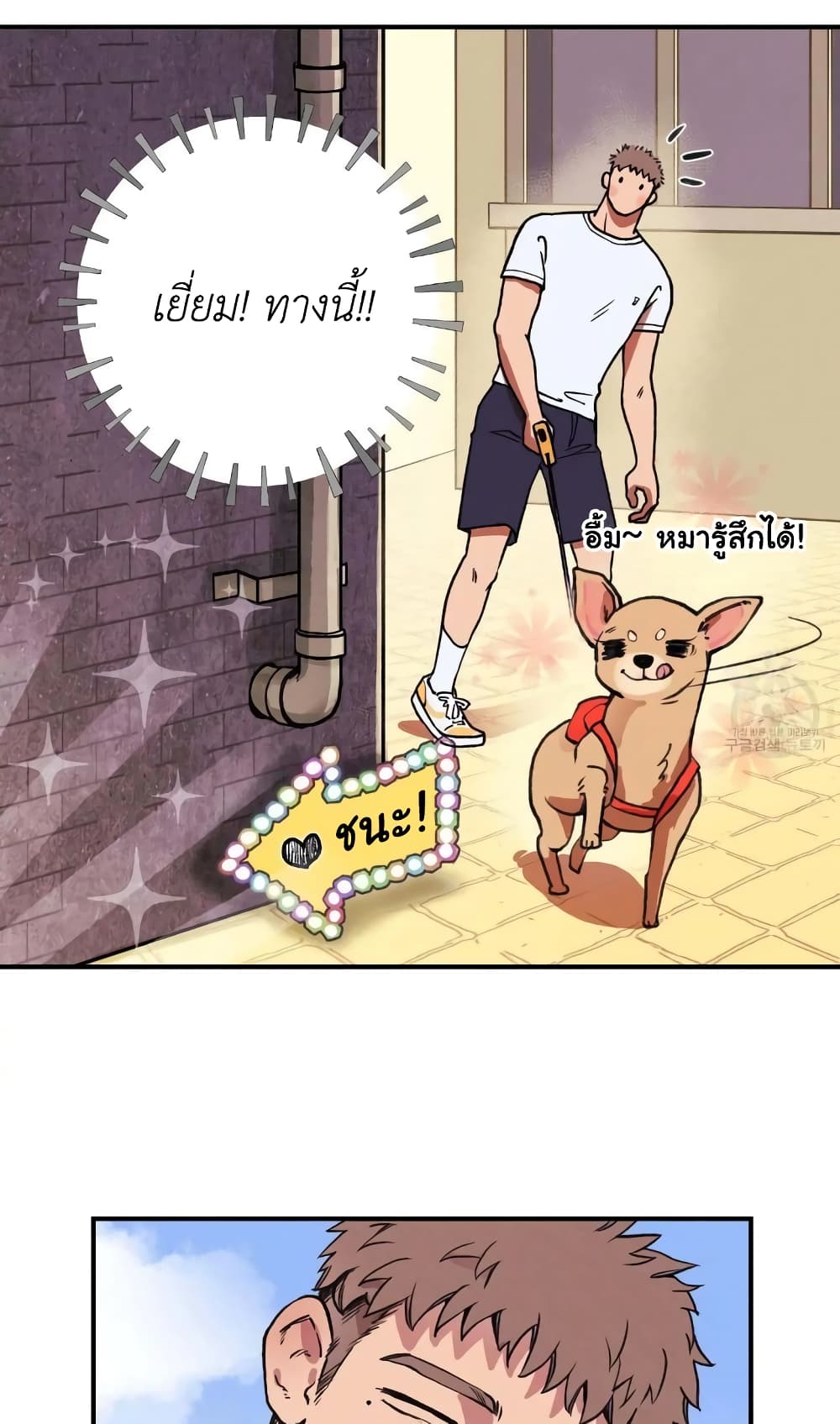 Honey Bear 1 14