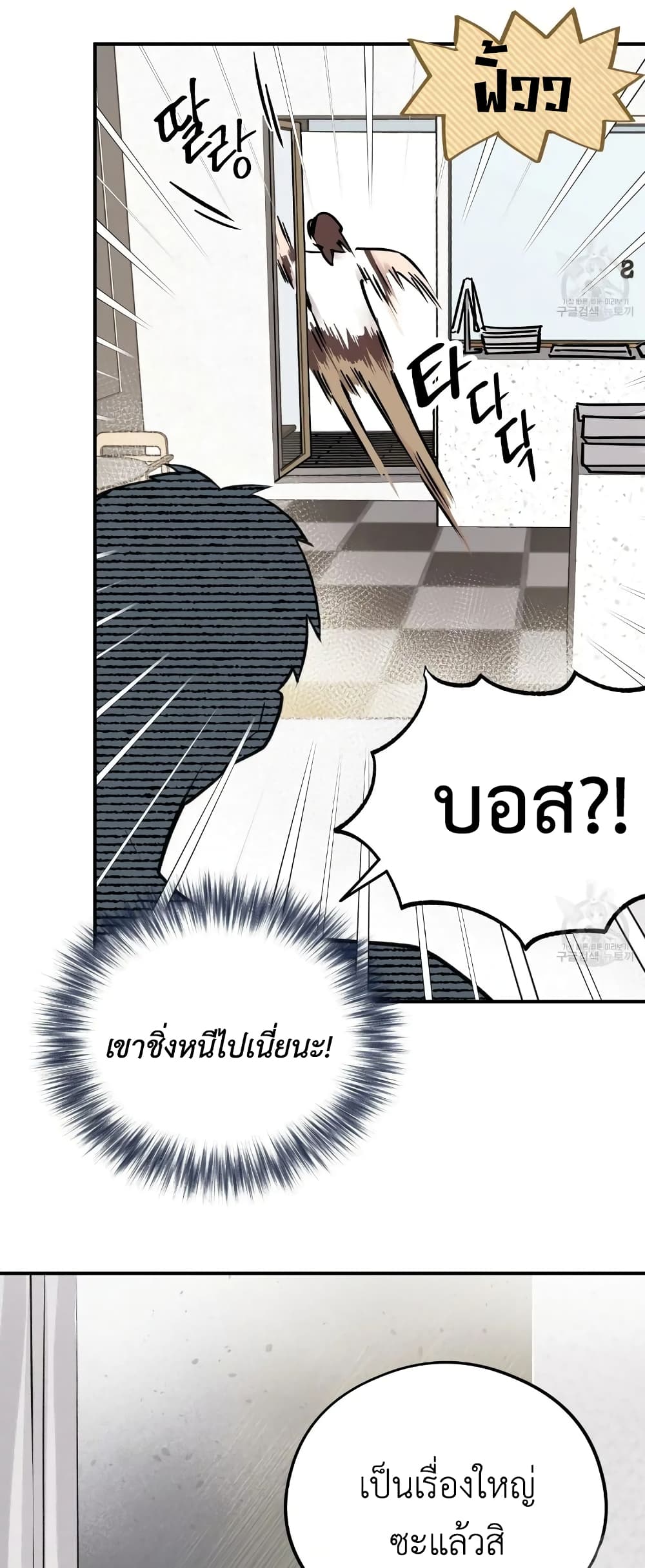 Honey Bear 8 48