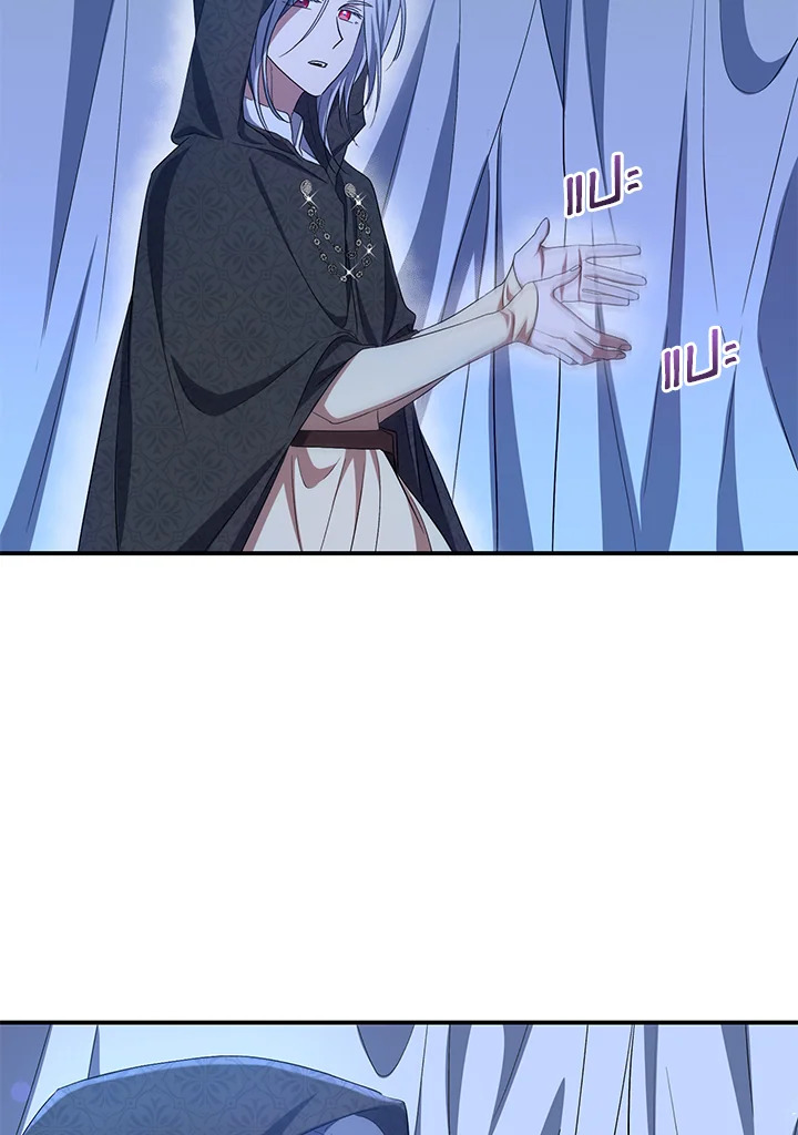 I Plan To Become The Master Of A Stolen Family 19 71