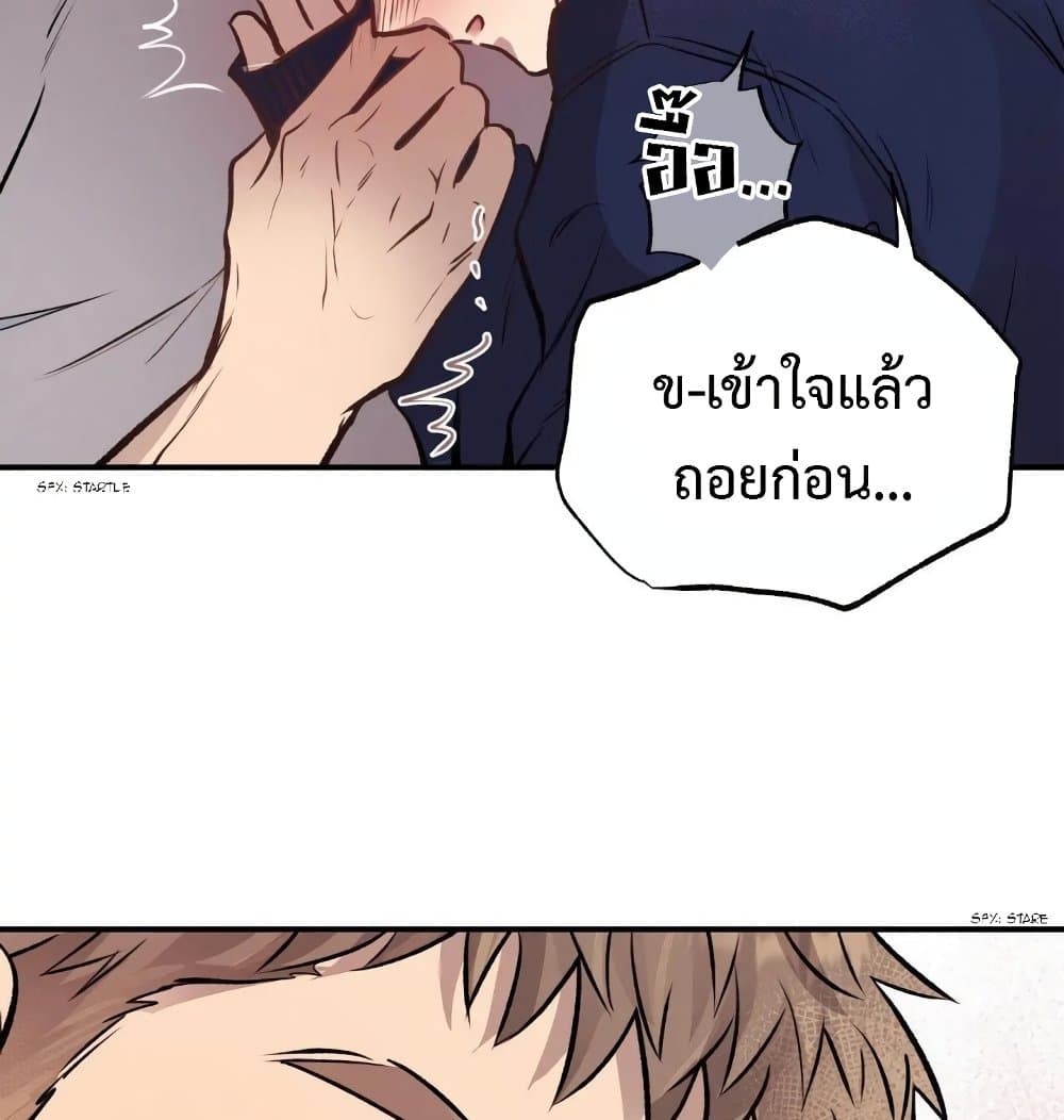 Honey Bear 15 079