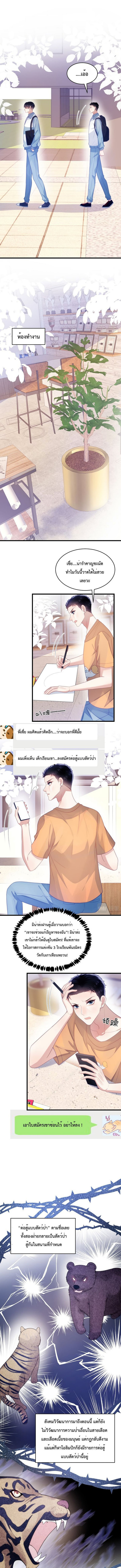 DESTINY LOVE 44 (6)