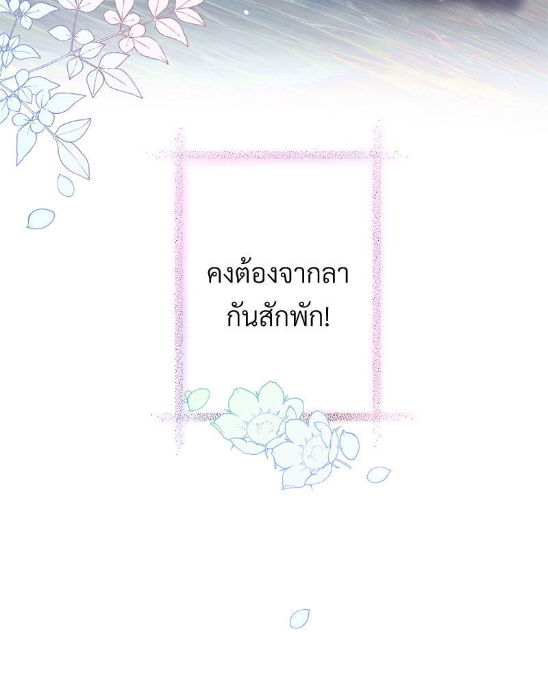 canidie 20 2 67 08156