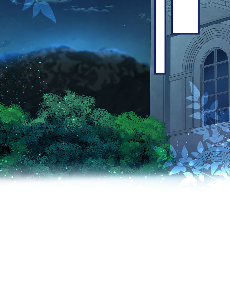 canidie 20 2 67 08015