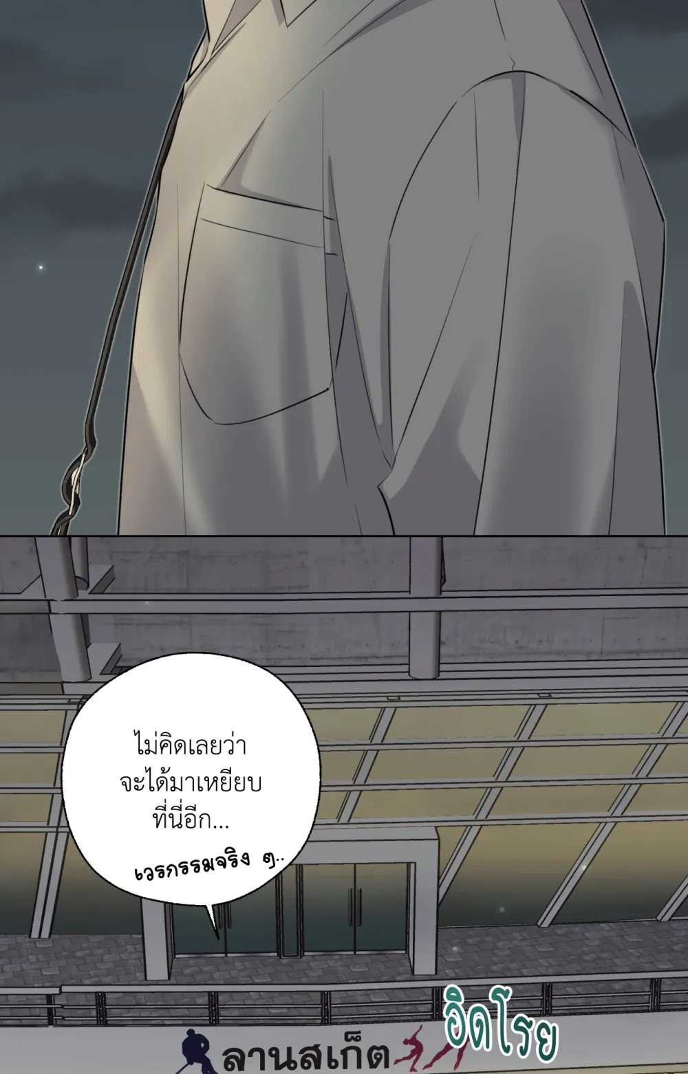 Melting Point 3 (19)