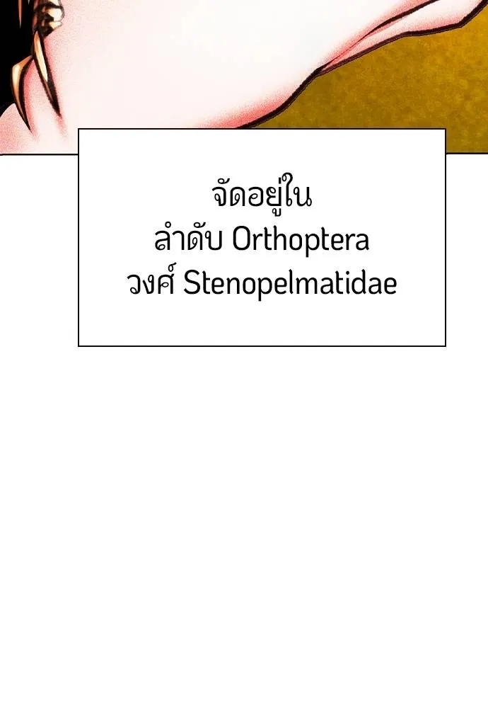 Jungle Juice 137 110