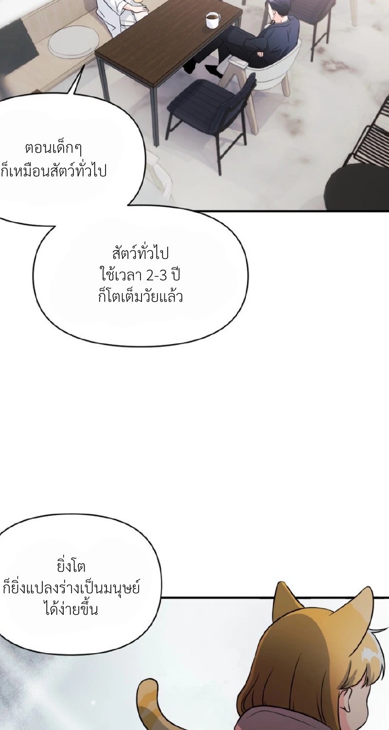 แด่คุณผู้เป็นที่รัก 1 100