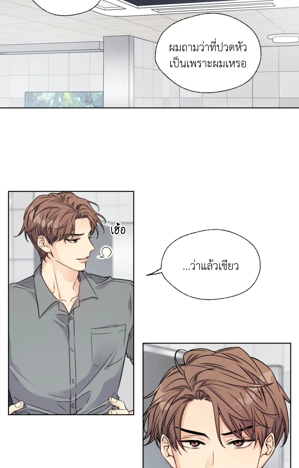 Melting Point 2 (19)