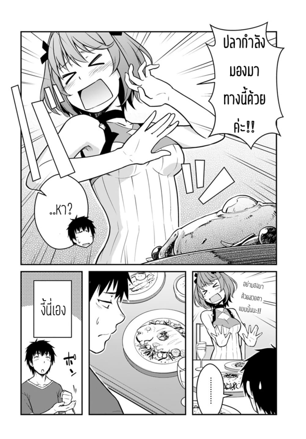 MEZAME~3