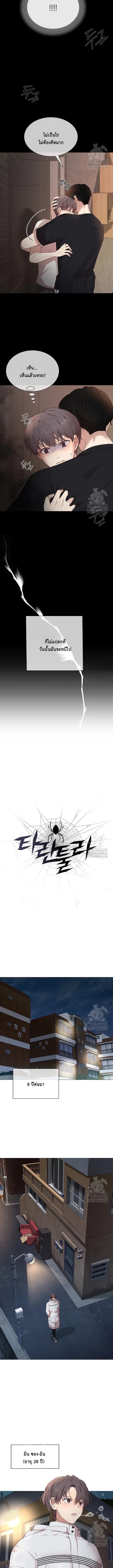 Tarantula 1 (3)