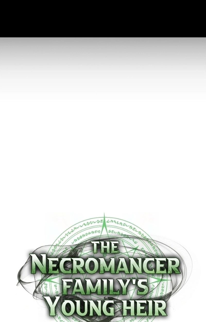 The Necromancer Family’s Young Heir 19 34
