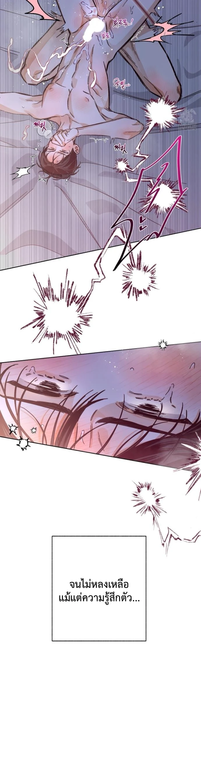 STAGE BEHIND 3 (20)